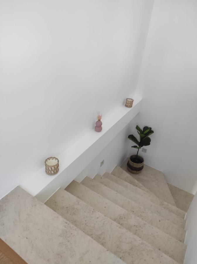 Casa Da Maria By Viva A Vida - Alojamentos & Hotels 康斯坦西亚 外观 照片